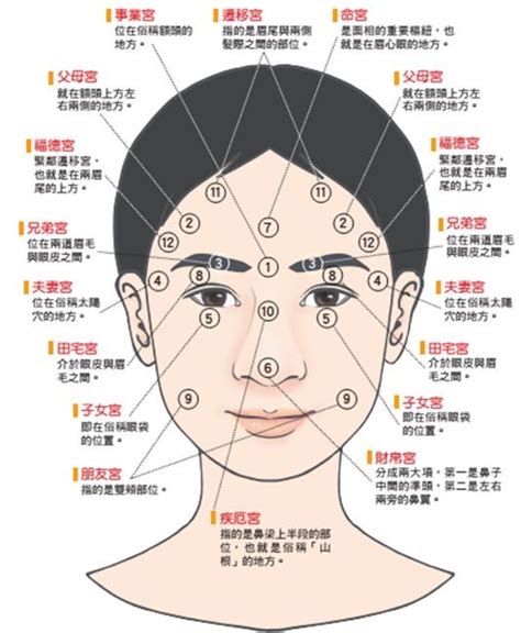 沒有臥蠶面相|【面相】面相入門4看點，有無貴人看這邊 